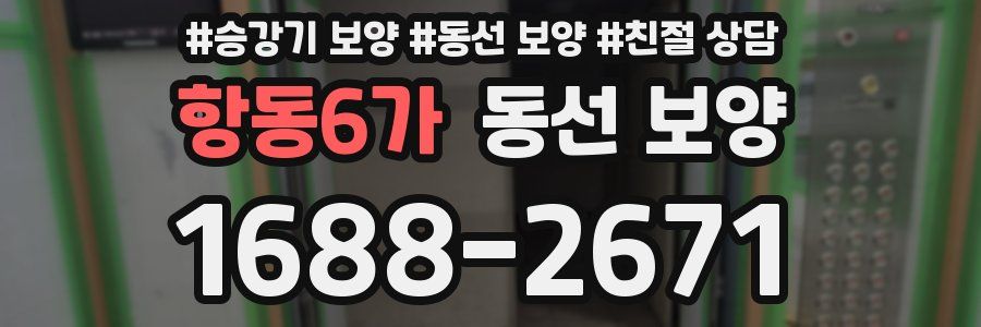 항동6가 동선 보양