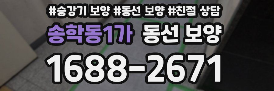 송학동1가 동선 보양