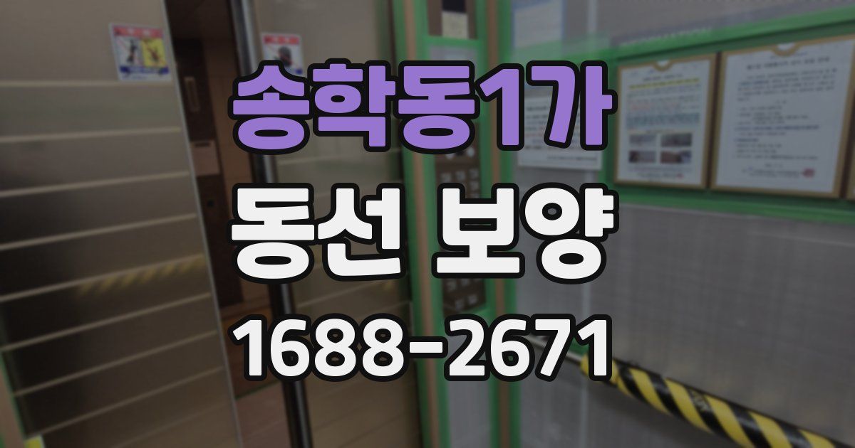 송학동1가 동선 보양