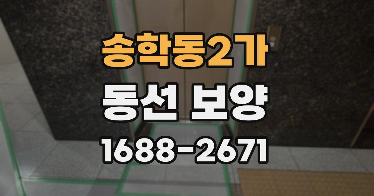 송학동2가 동선 보양