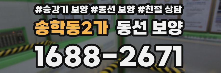 송학동2가 동선 보양