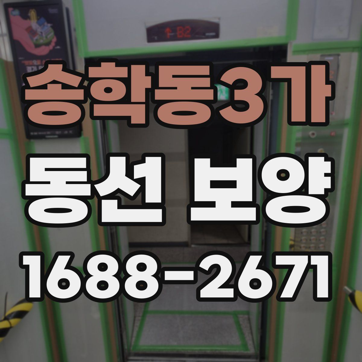 송학동3가 동선 보양