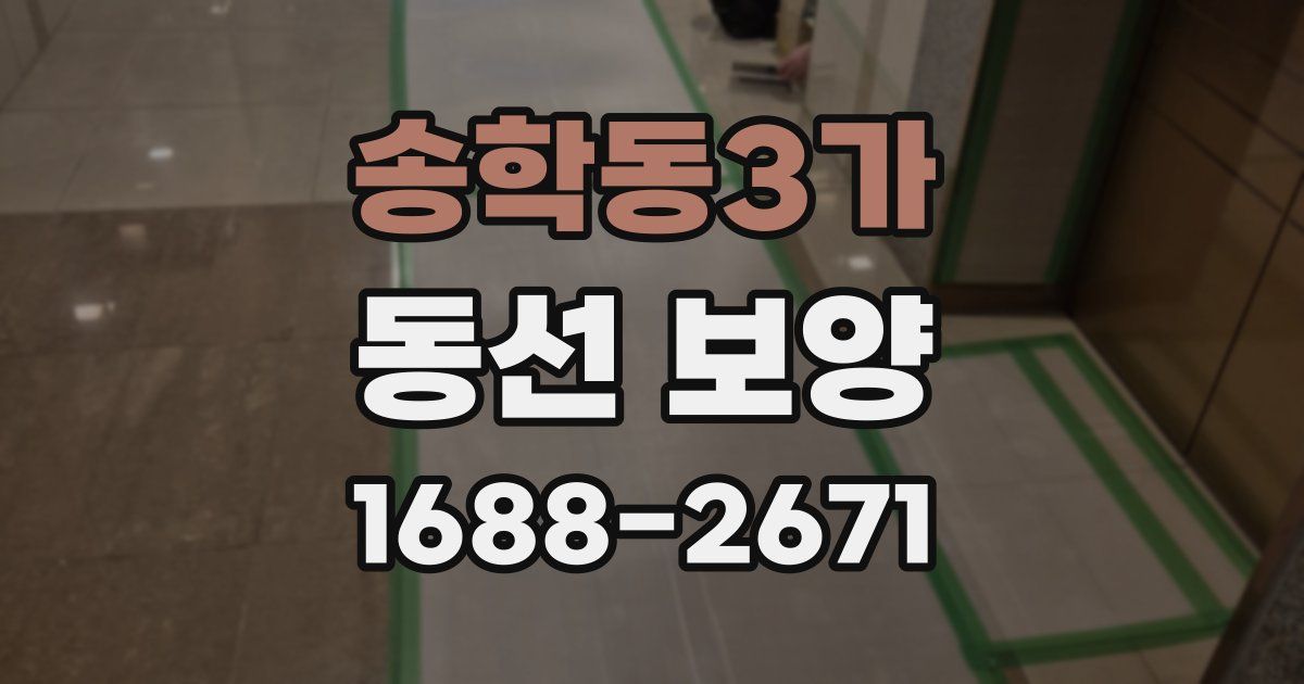 송학동3가 동선 보양