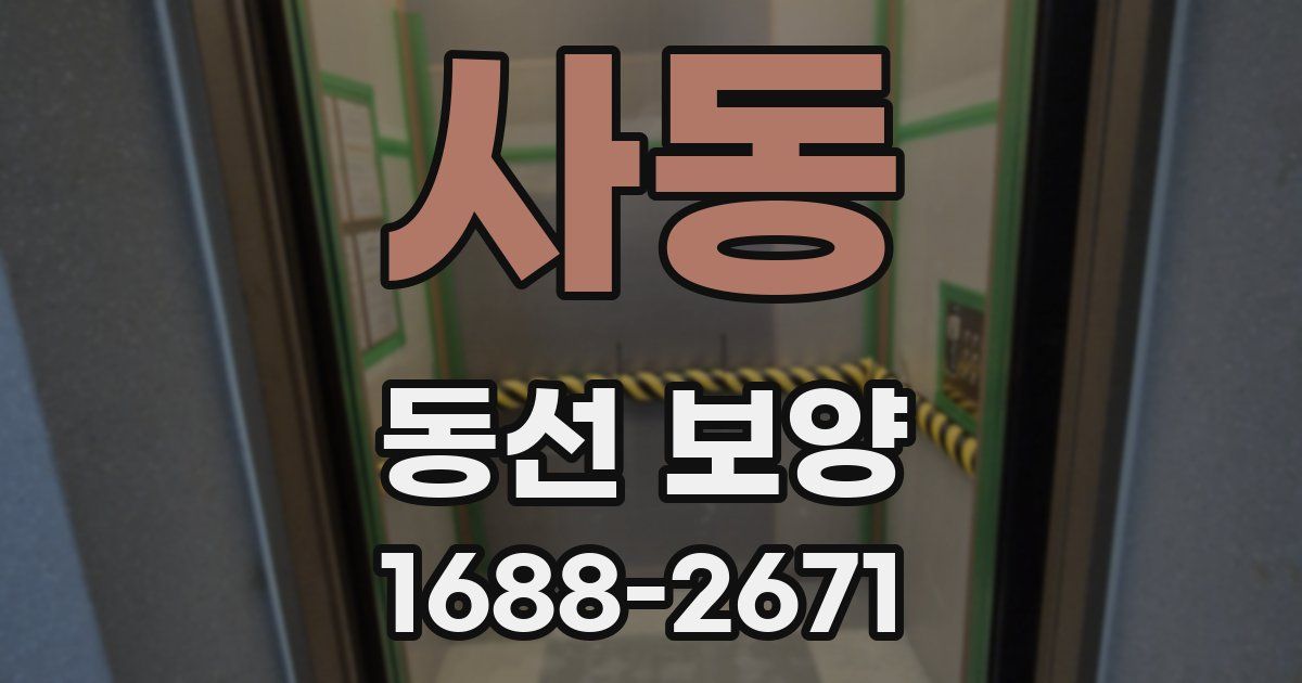 사동 동선 보양