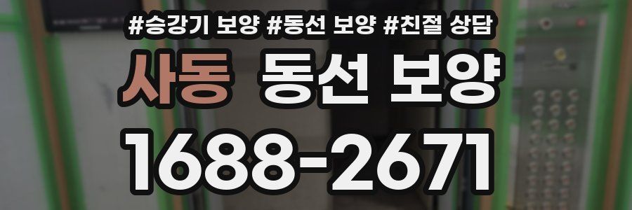 사동 동선 보양