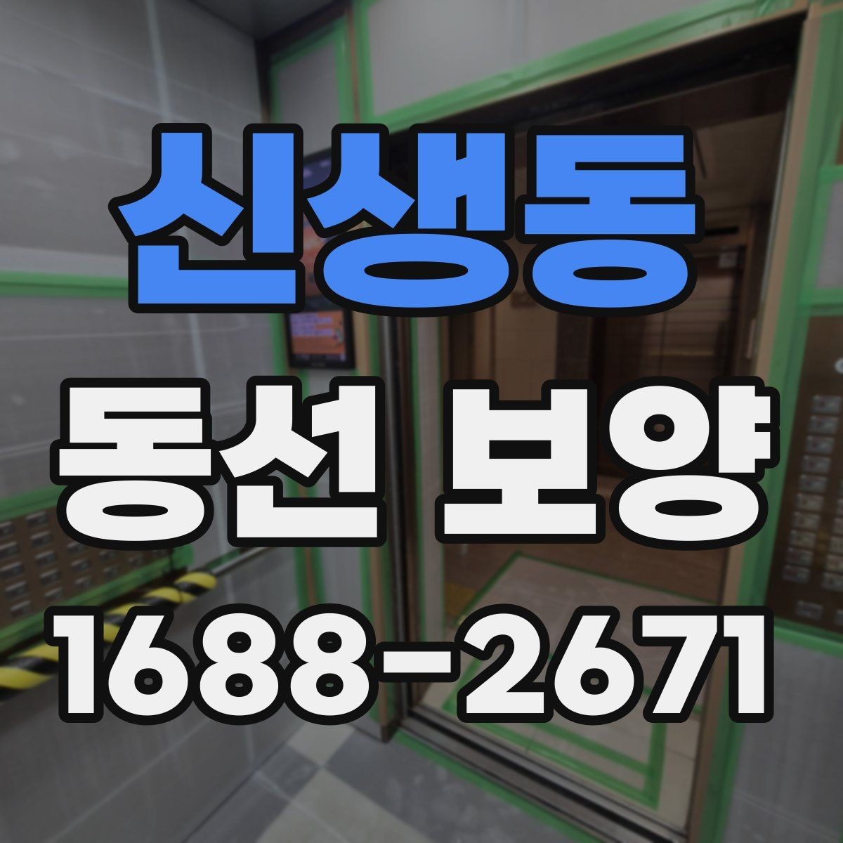 신생동 동선 보양 시공 전 꼭 확인할 점