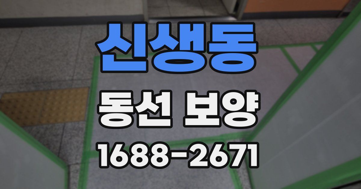 신생동 동선 보양