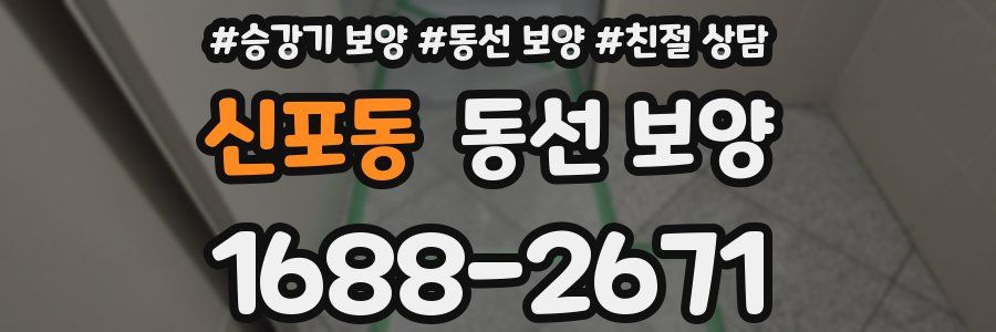 신포동 동선 보양