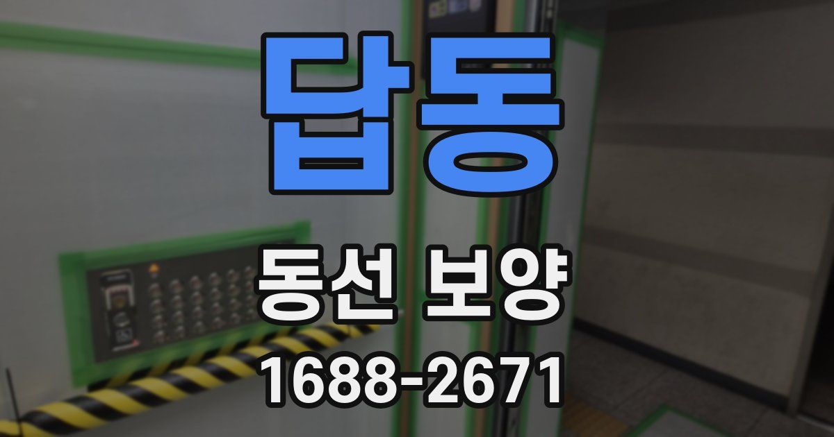 답동 동선 보양