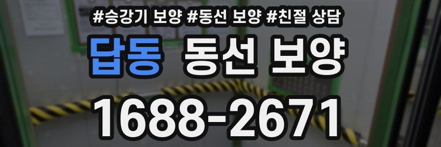 답동 동선 보양
