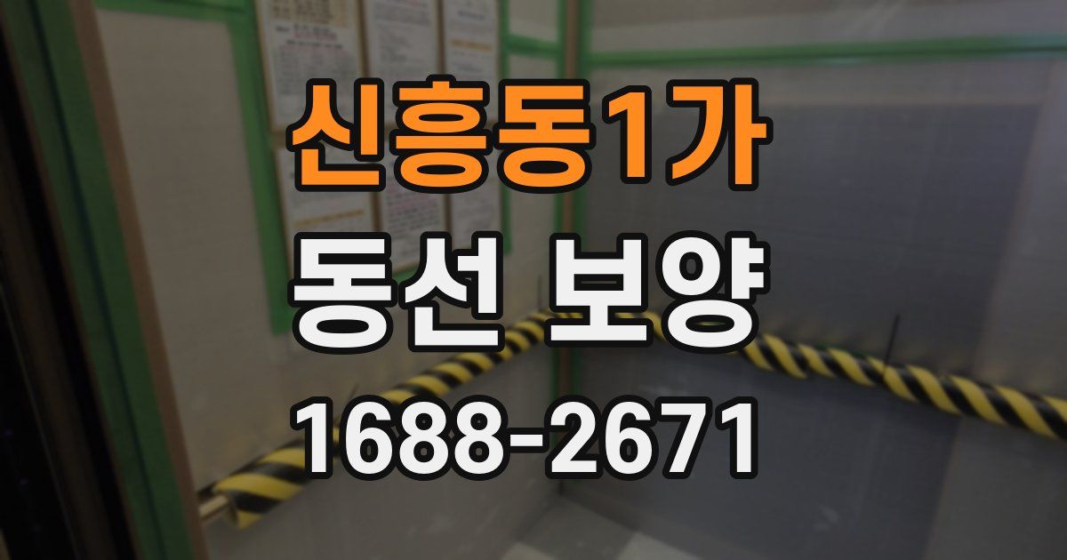 신흥동1가 동선 보양
