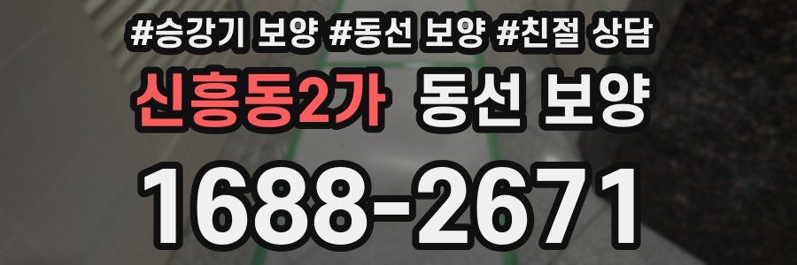 신흥동2가 동선 보양