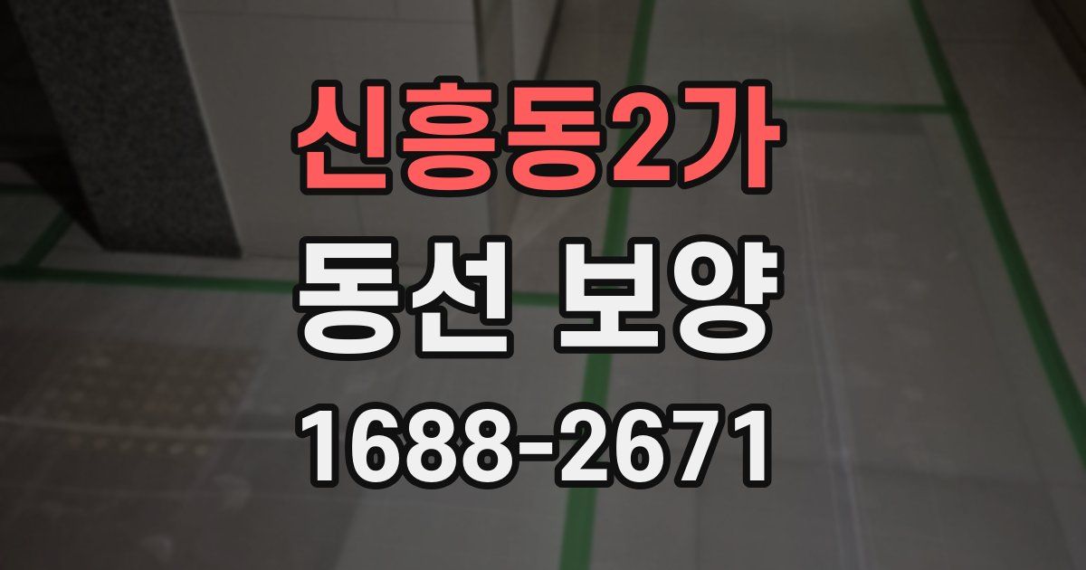 신흥동2가 동선 보양