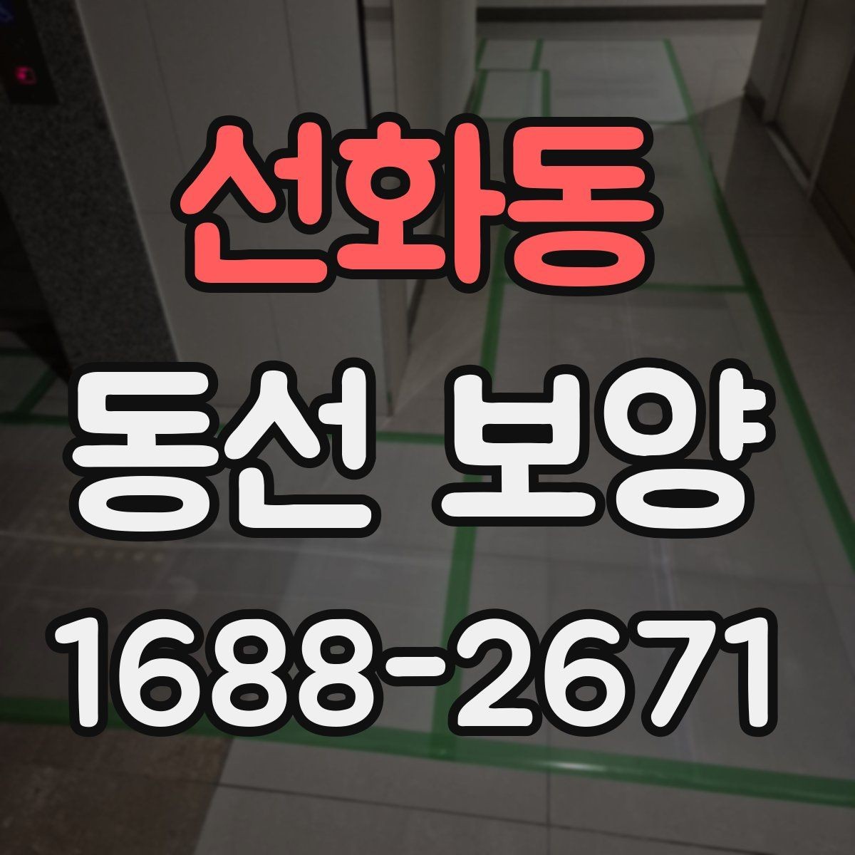선화동 동선 보양 작업 전후 비교로 보는 변화