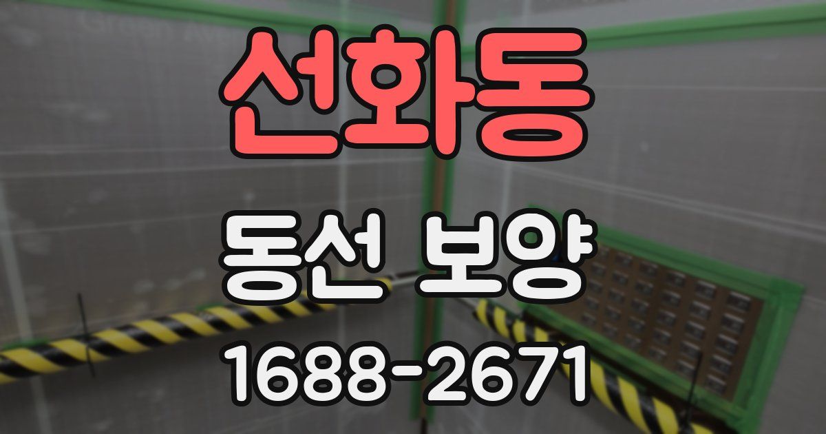 선화동 동선 보양