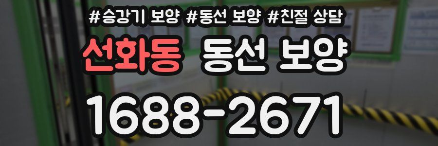 선화동 동선 보양
