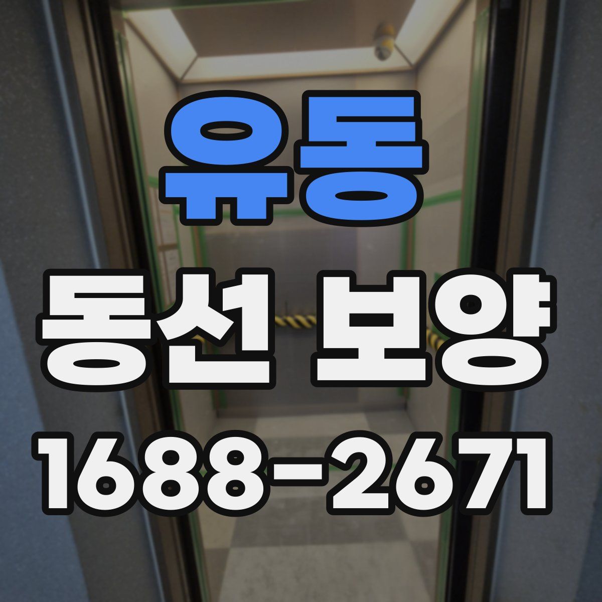 유동 동선 보양