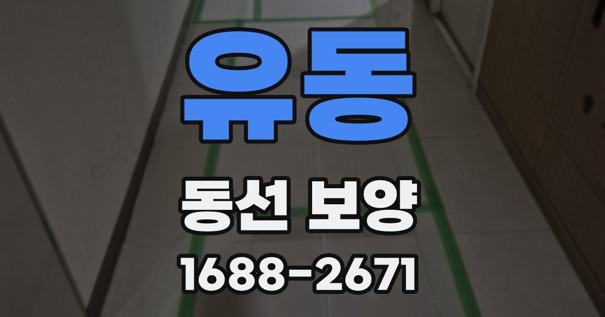 유동 동선 보양