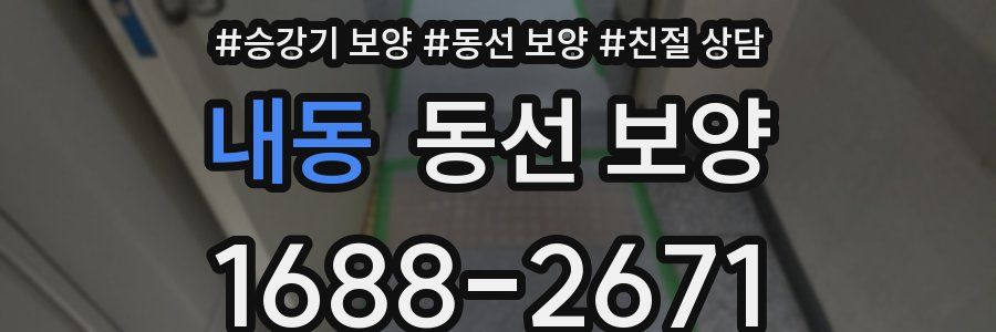 내동 동선 보양