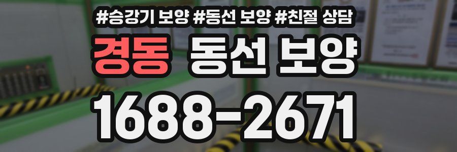경동 동선 보양