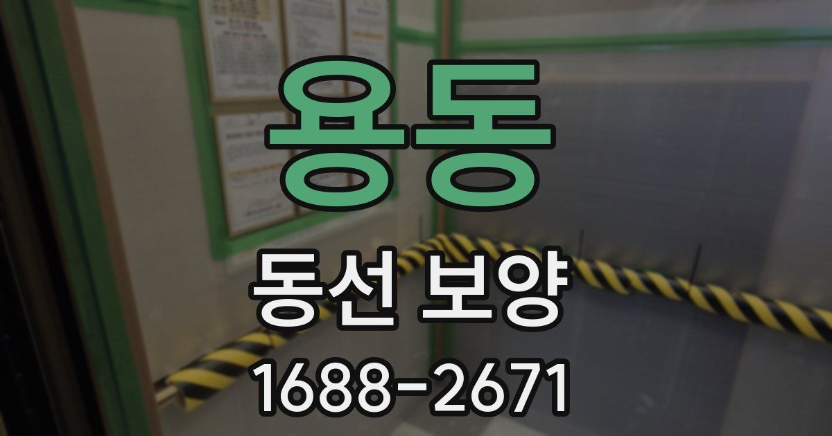 용동 동선 보양