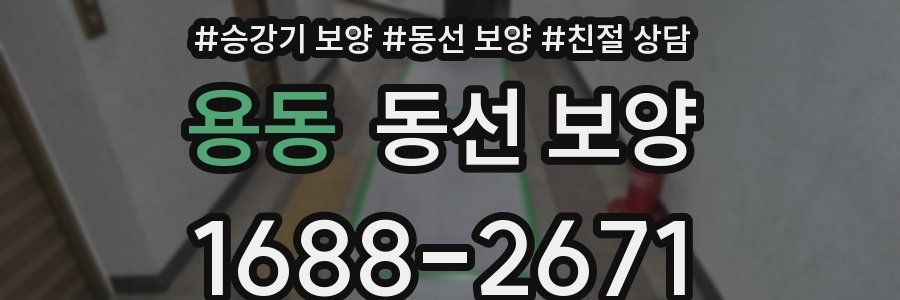 용동 동선 보양