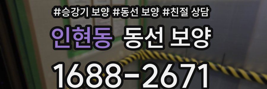인현동 동선 보양