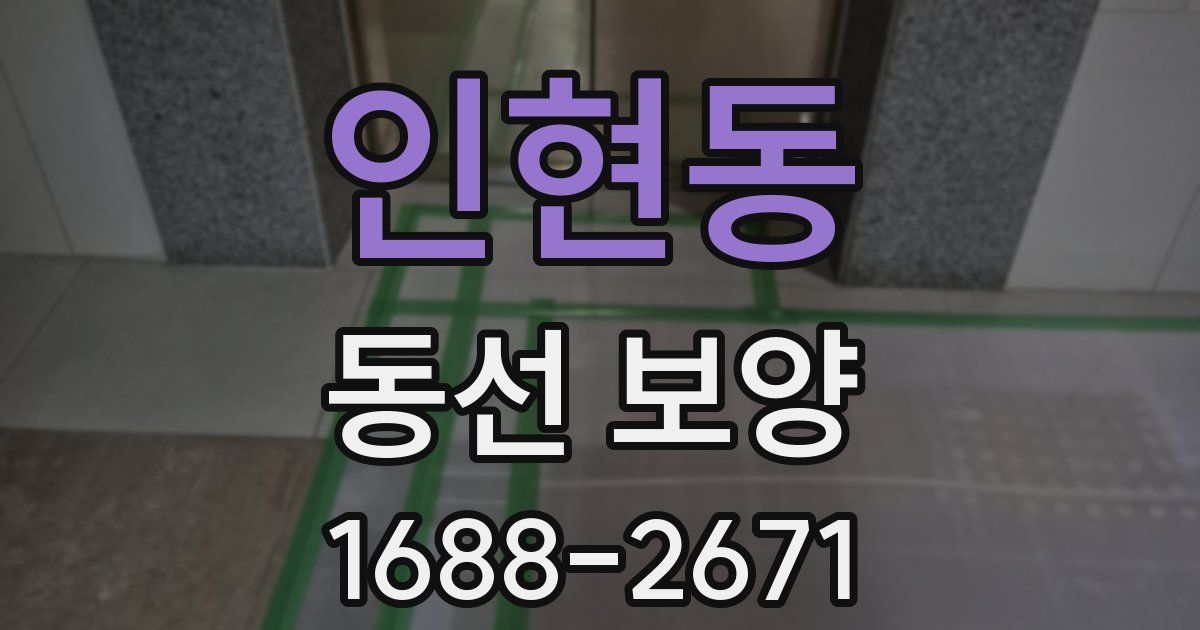 인현동 동선 보양