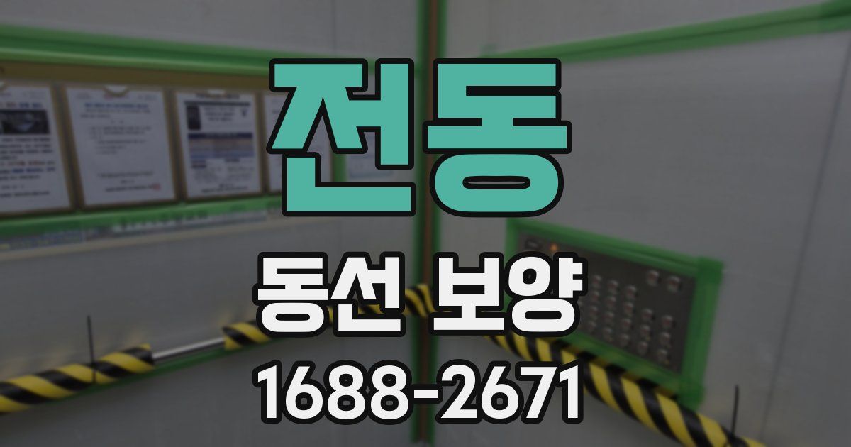 전동 동선 보양