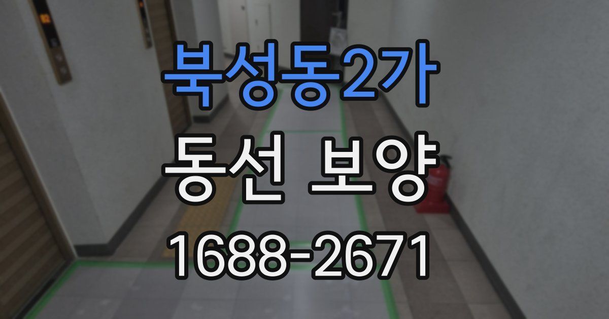 북성동2가 동선 보양