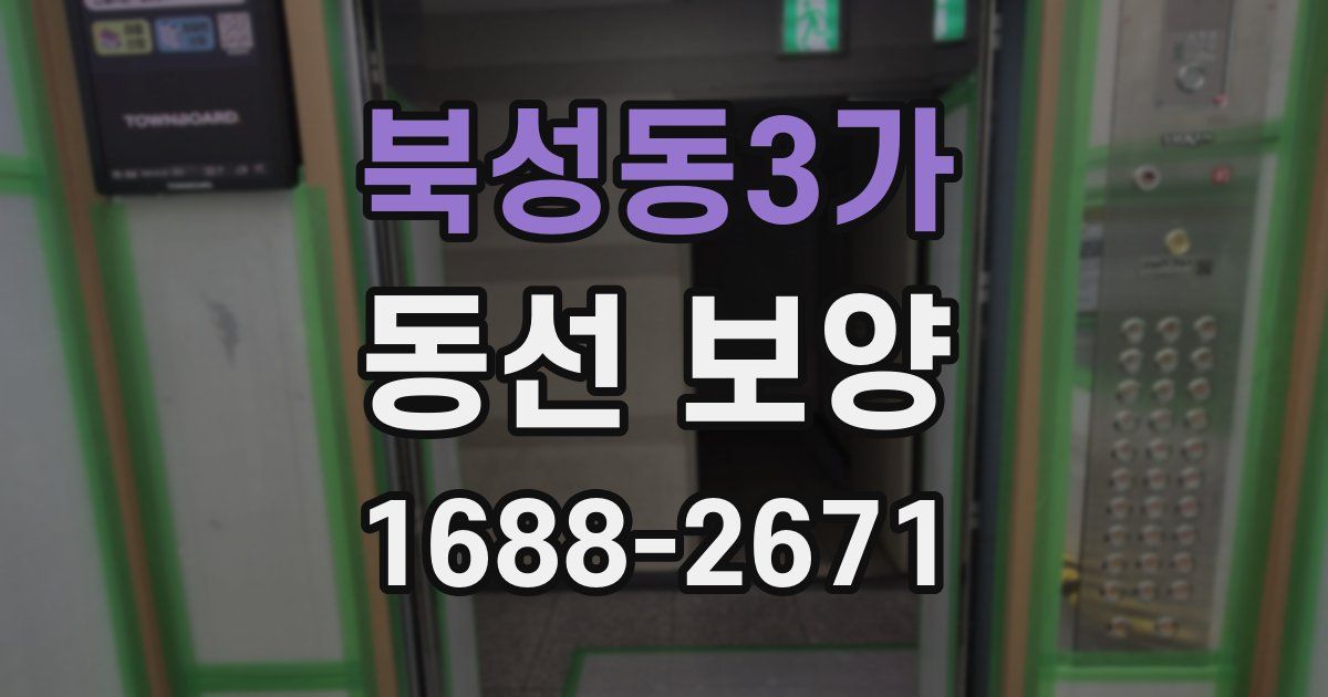 북성동3가 동선 보양