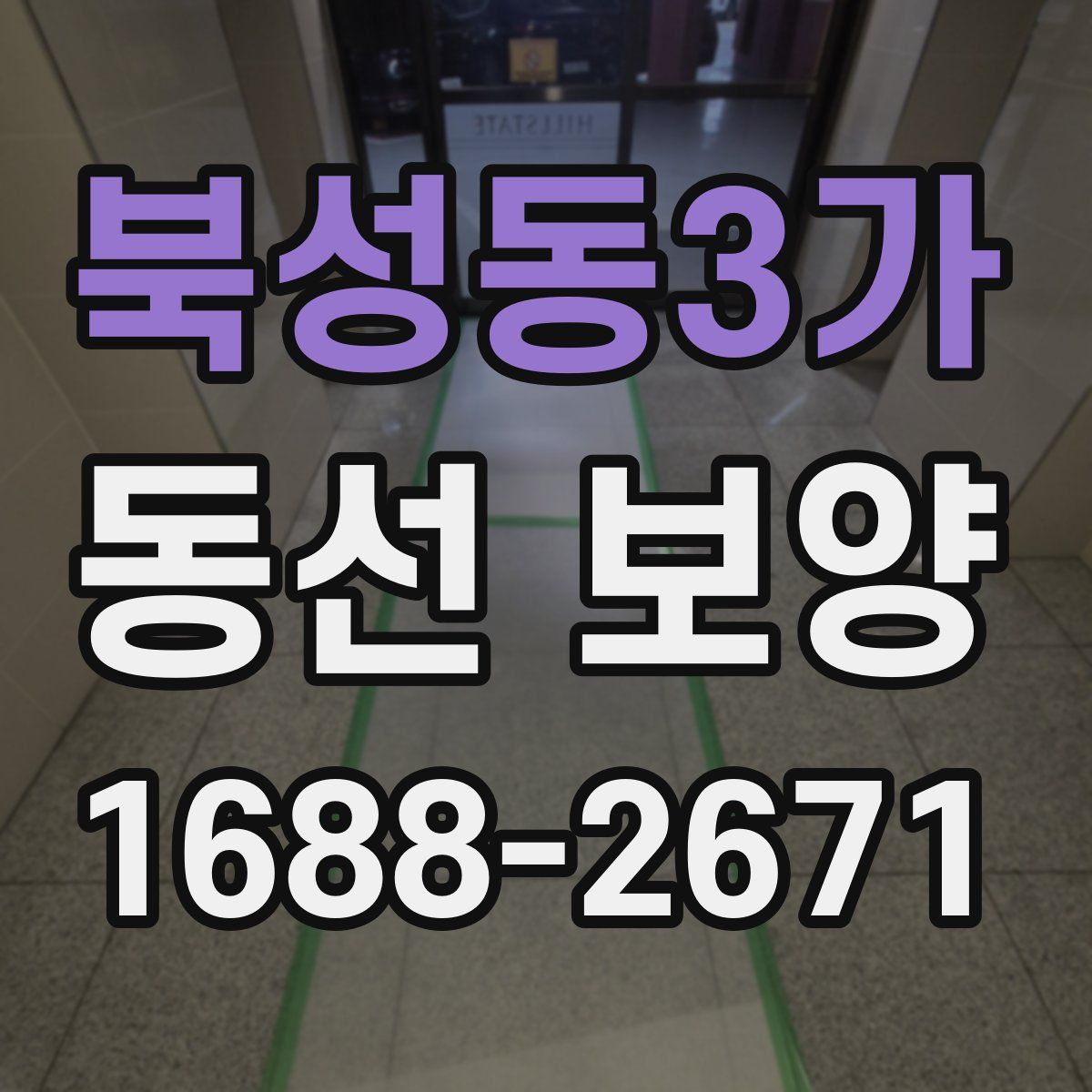 북성동3가 동선 보양