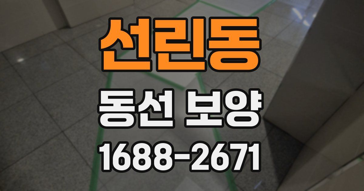 선린동 동선 보양