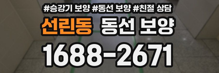 선린동 동선 보양