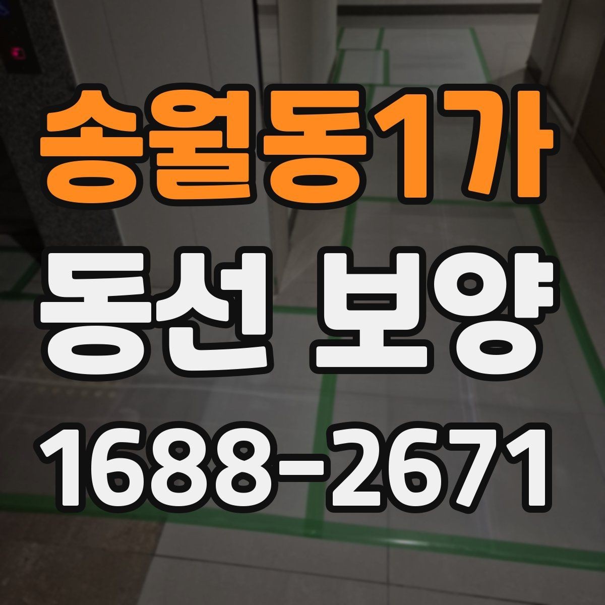 송월동1가 동선 보양 일정 잡을 때 참고할 내용