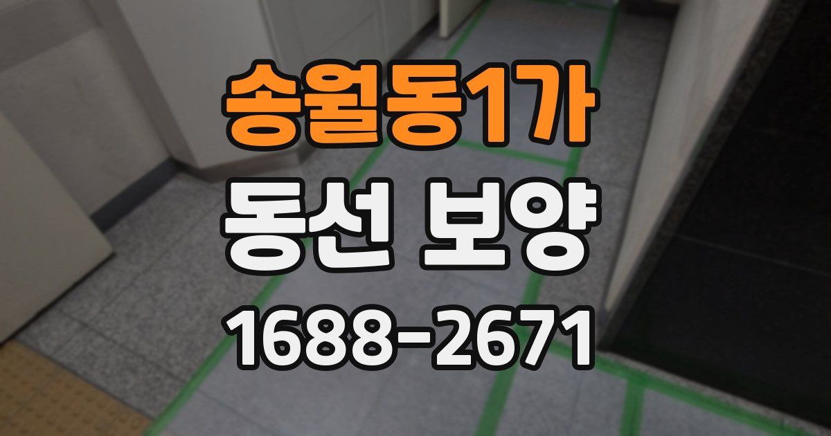 송월동1가 동선 보양