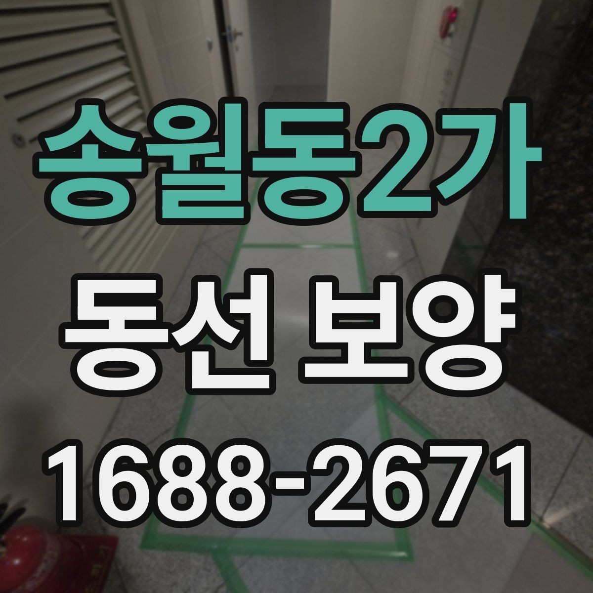 송월동2가 동선 보양 현장에 맞는 일정 조율 방법