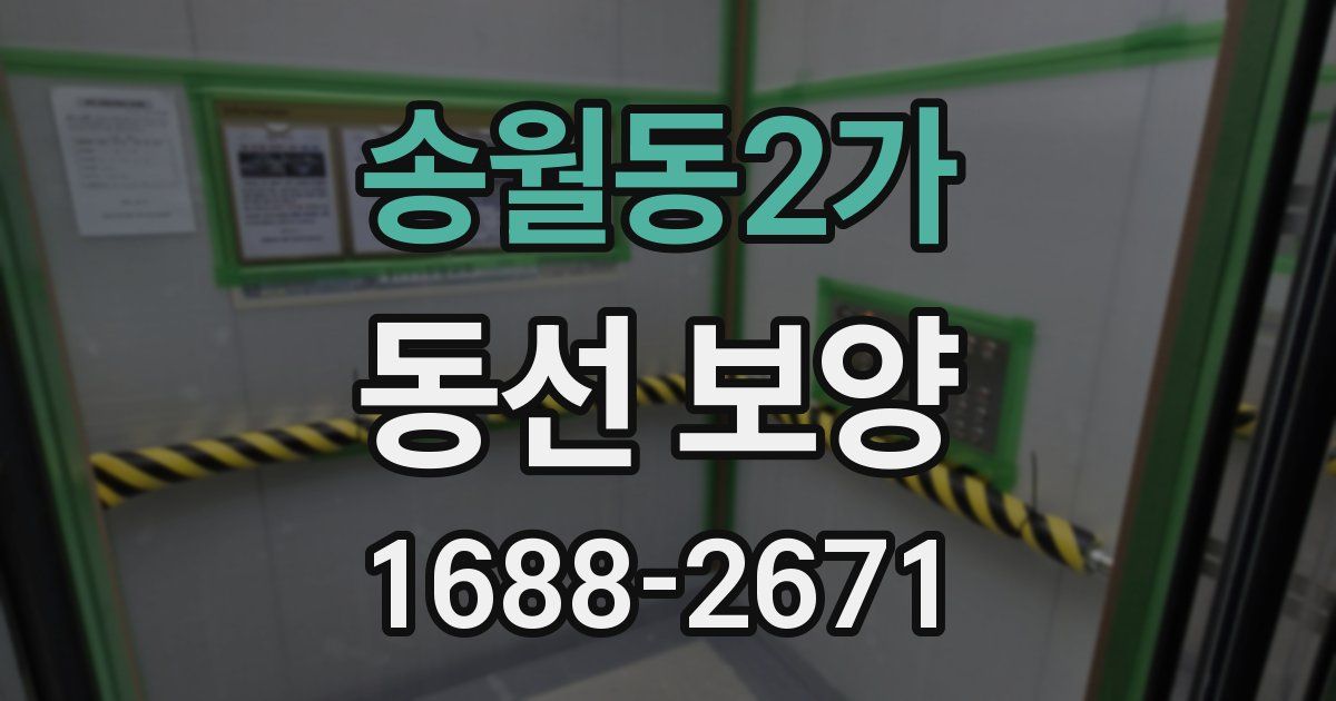 송월동2가 동선 보양