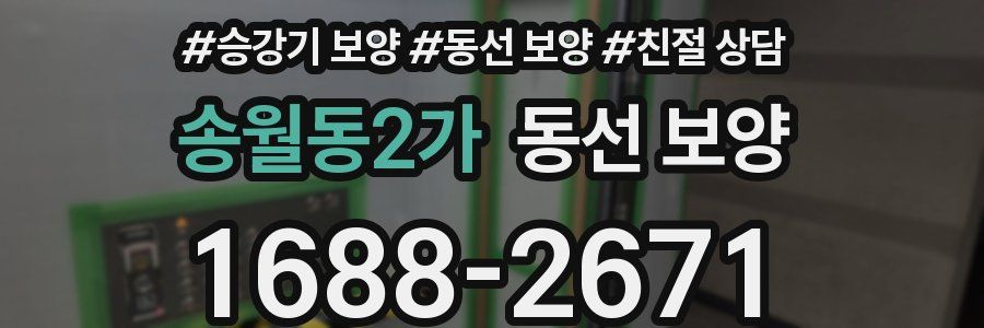 송월동2가 동선 보양