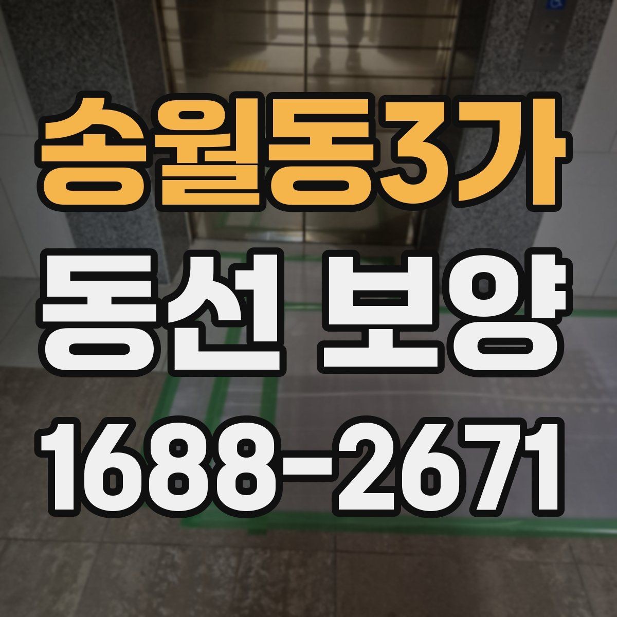 송월동3가 동선 보양 선택 전 비교해야 할 항목들