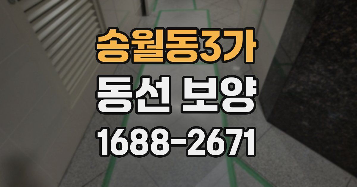 송월동3가 동선 보양