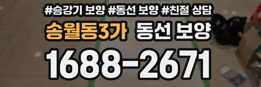 송월동3가 동선 보양