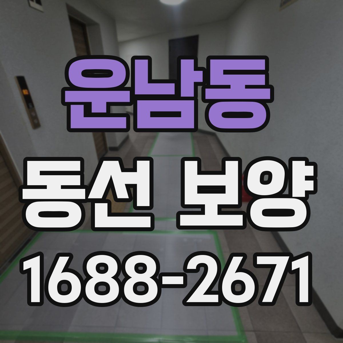 운남동 동선 보양 과정에서 자주 발생하는 오류
