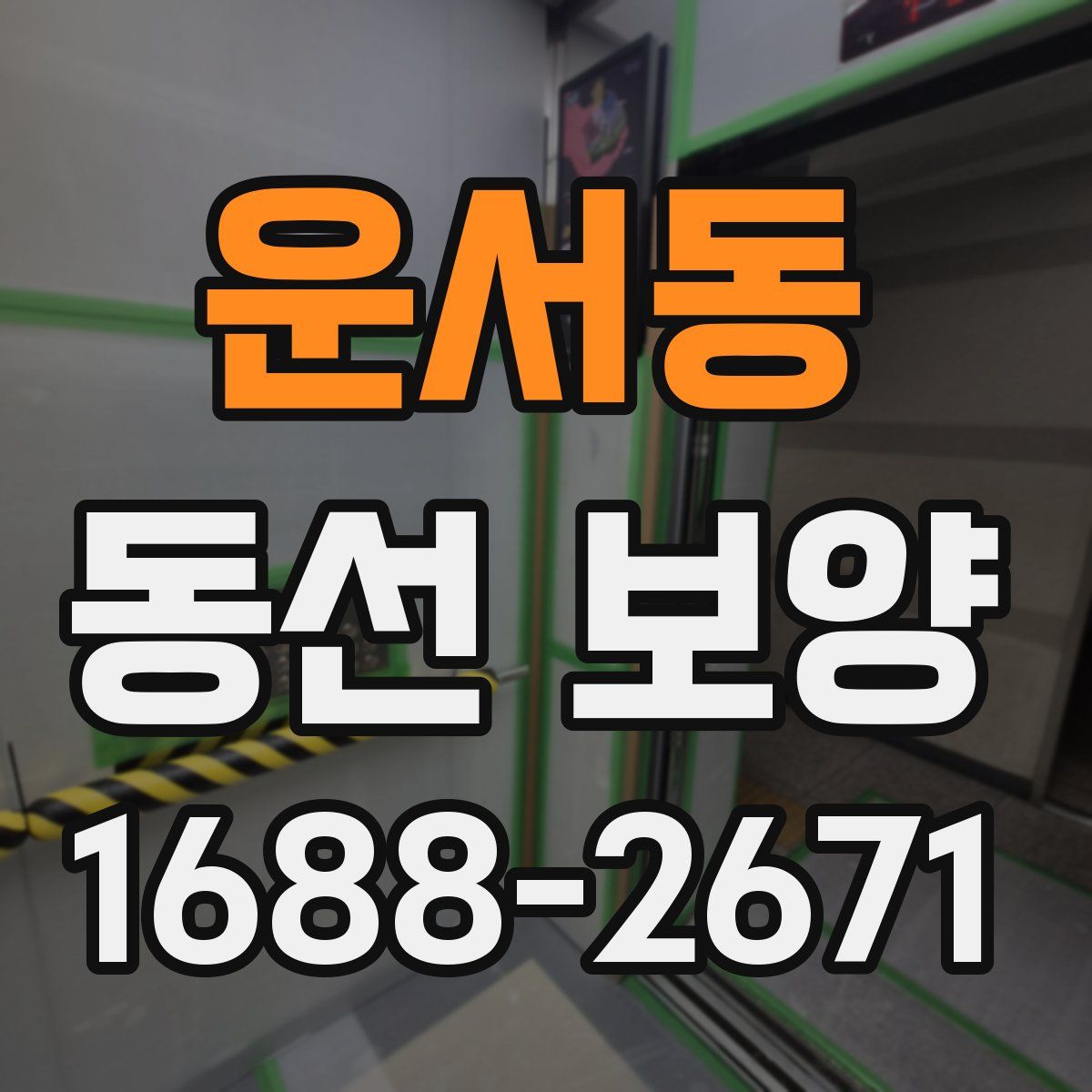 운서동 동선 보양
