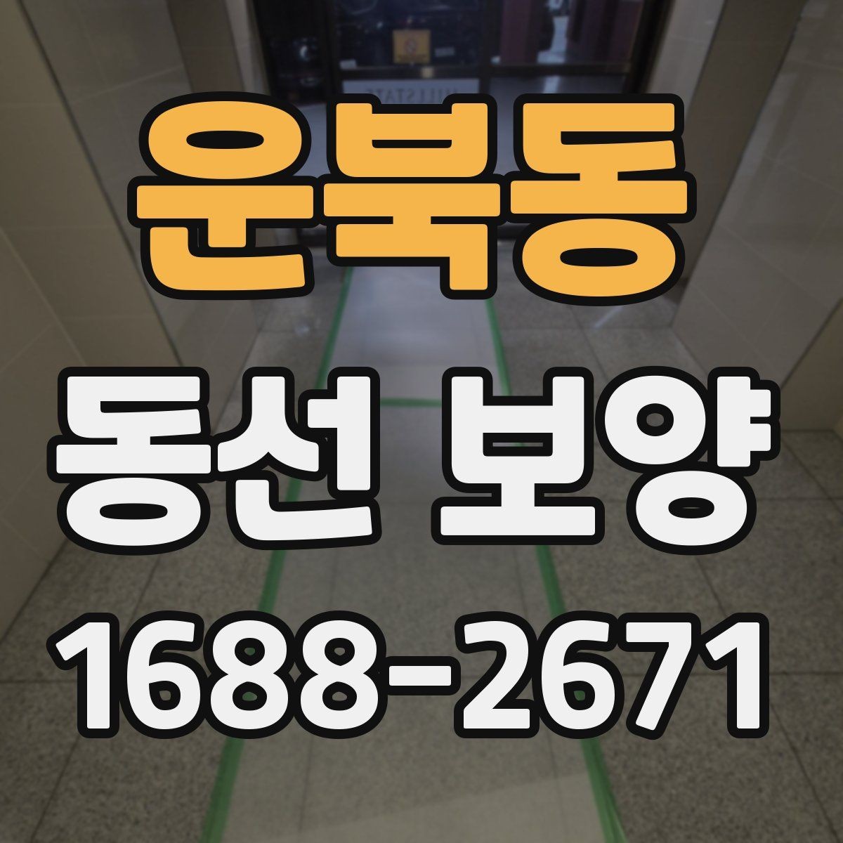 운북동 동선 보양 과정에서 발생할 수 있는 문제