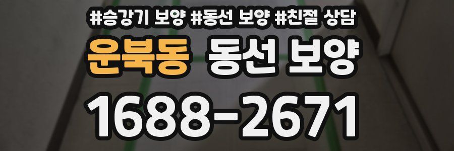 운북동 동선 보양