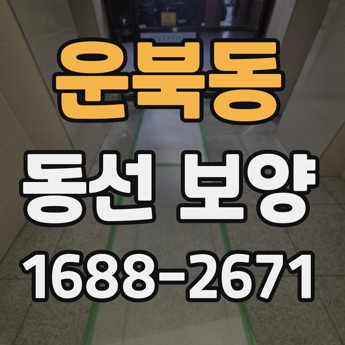 운북동 동선 보양
