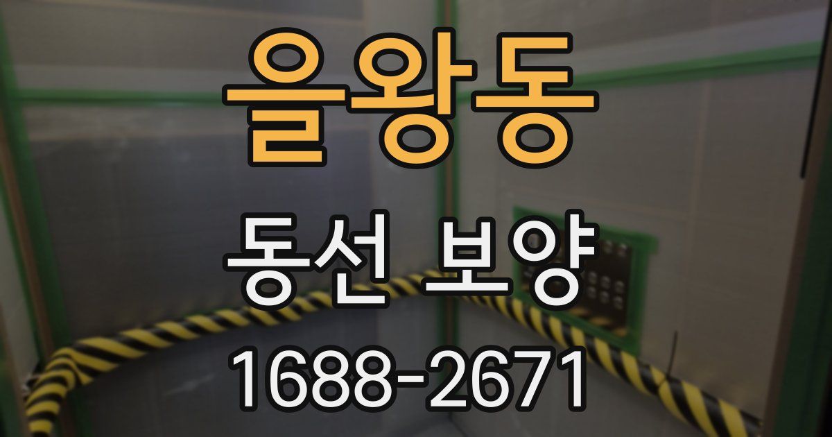 을왕동 동선 보양