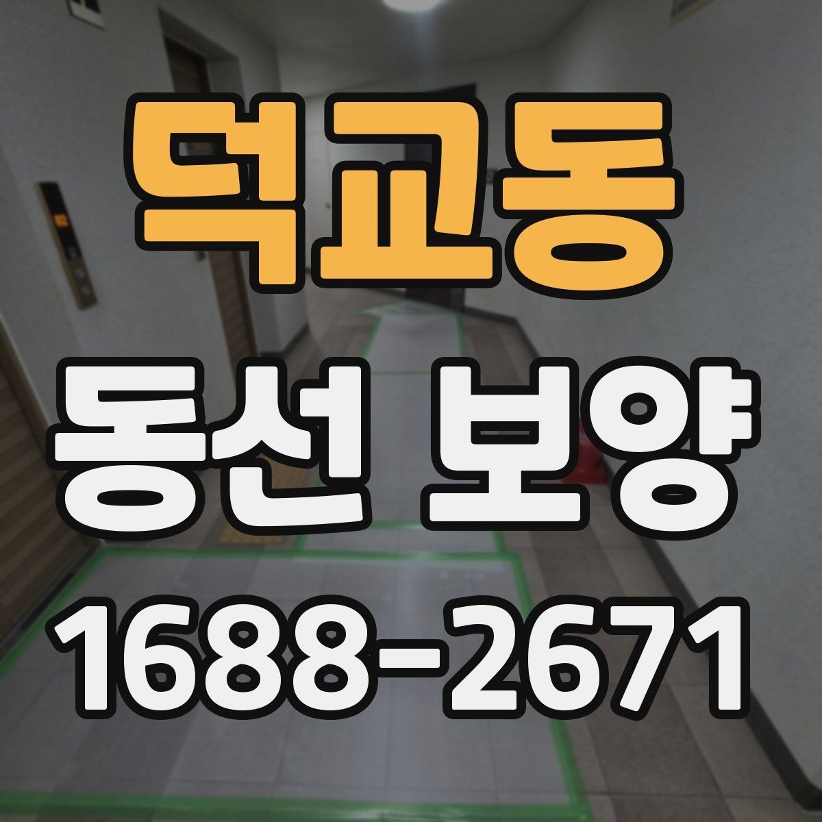 덕교동 동선 보양 기준을 세울 때 보는 현장 요소
