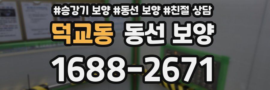덕교동 동선 보양